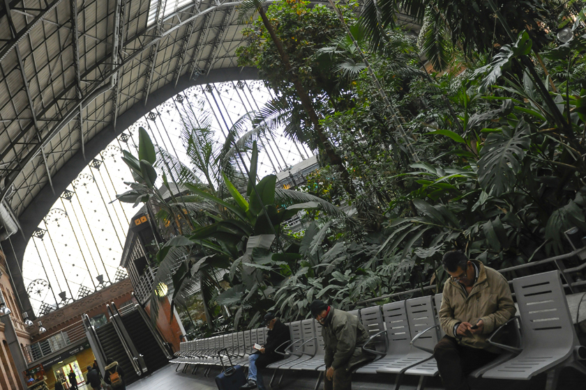 A estación de Madrid Puerta de Atocha que alberga o Xardín Tropical no seu histórico vestíbulo coa súa exuberante vexetación.