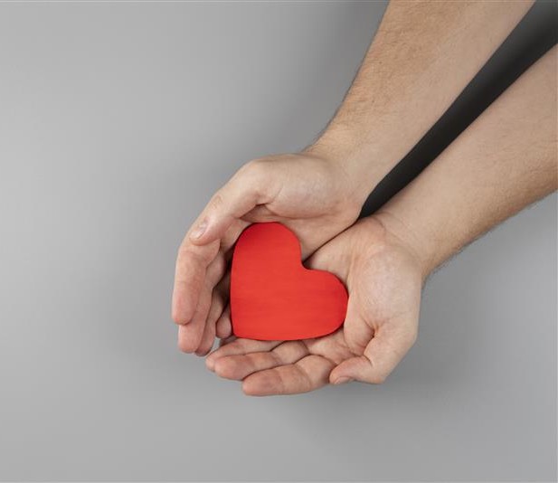 Manos que sostienen u ofrecen un corazón