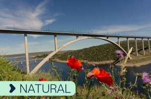 Atributos de marca: Natural
