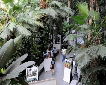 Exposición en Jardín Tropical de la estación Madrid Puerta de Atocha