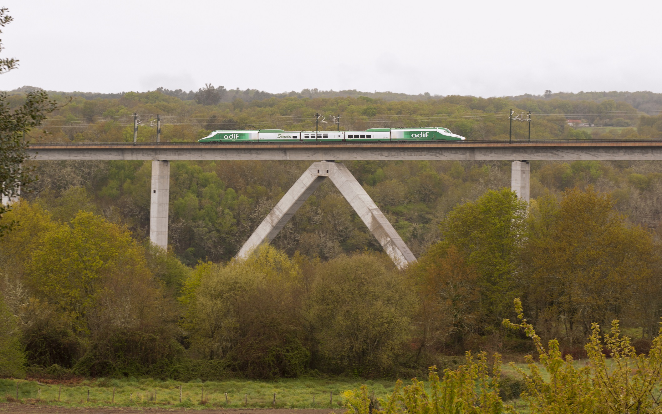 LAV  Galicia- tren Séneca-Viaducto Arnoia